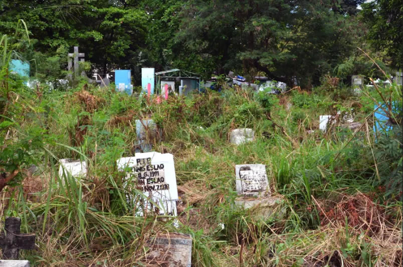 In photo are gravestones whose identities they carry are left possibly forgotten to a point that they are almost one with the weeds.NICEFORO BALBEDINA