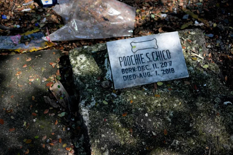 All dogs go to heaven. The tomb of one Poochie S. Chico who must have served his family well allowing him the honor.(NICEFORO BALBEDINA/CBCPNEWS)