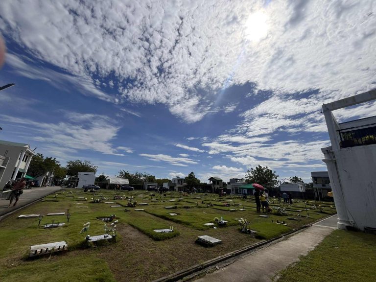 a899e24a-15e2-43ed-a83c-e1df303dadc4